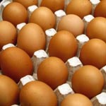44 millions d’œufs stockés pour le ramadhan 