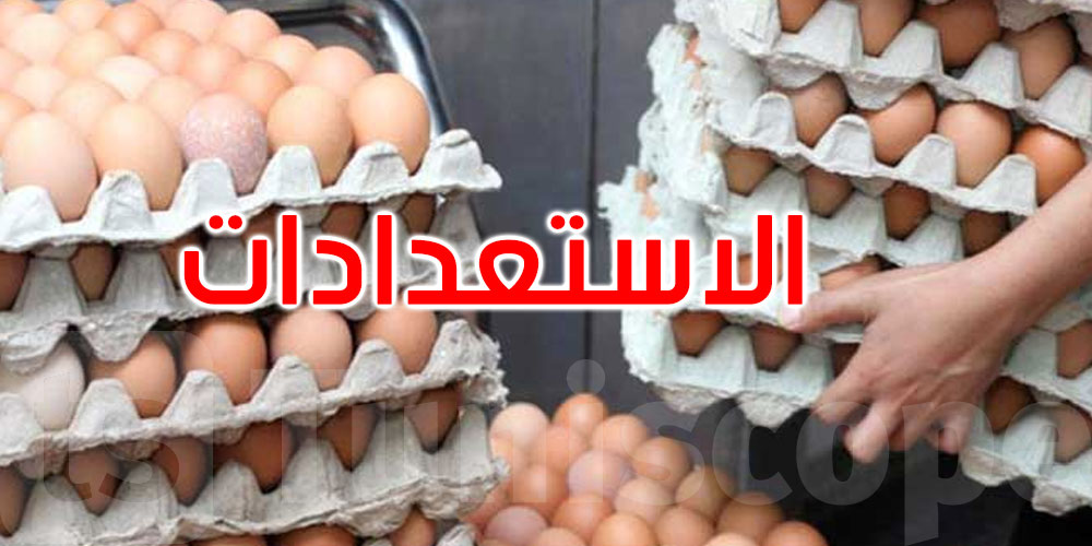   القطاع يستعد لرمضان: إنتاج وفير وخطة لتخزين 20 مليون بيضة