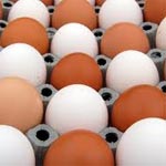 Tataouine : Saisie de 72 mille œufs 