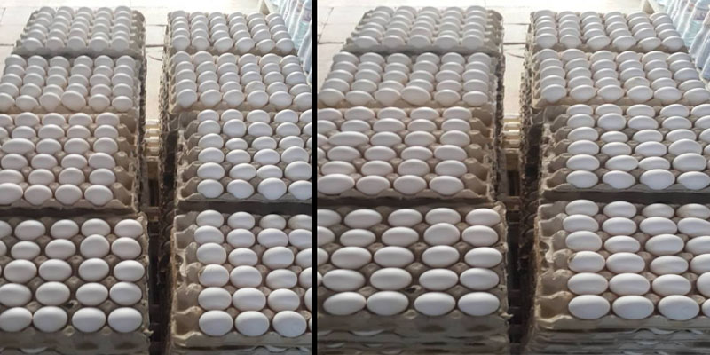 توزر: ضبط شاحنة نقل خفيف محملة بحوالي 10650 بيضة