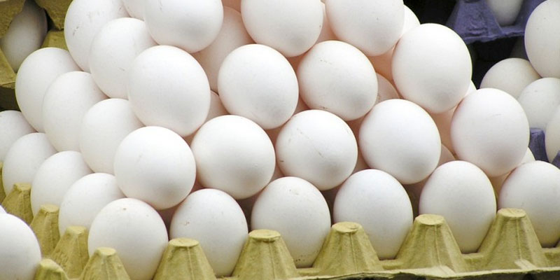 Saisie d’un million d'œufs par les équipes de contrôle économique