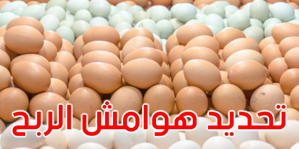  وزارة التجارة تحدد هوامش الربح عند بيع البيض المعلب بـ10 مي للبيضة
