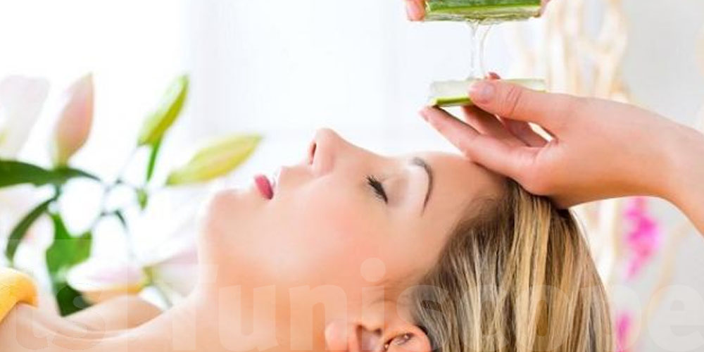  رغم فوائدها لا تناسب الجميع...تحذير لمستعملي '' الصبار''