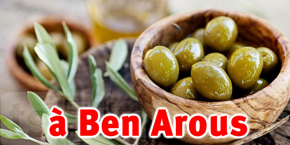 De la Terre à la Table : Augmentation de la production d'olives
