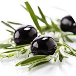Ariana : la récolte des olives estimée à 4180 tonnes