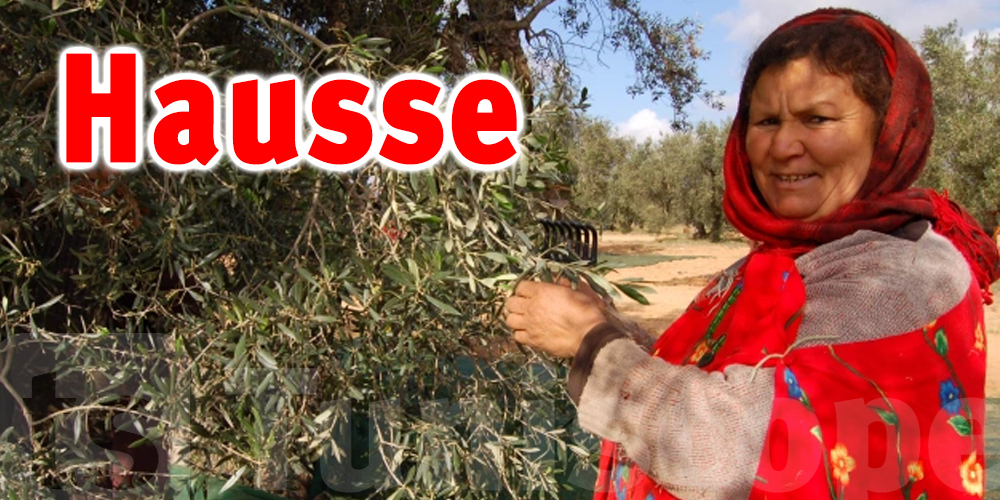 Tunisie : augmentation de la récolte des olives à...