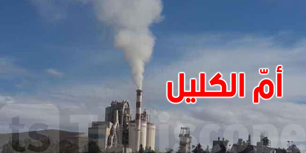 إعادة تشغيل مصنع إسمنت أم الكليل في الكاف
