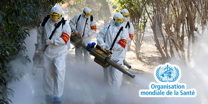 Transmission du coronavirus : L'OMS démêle le vrai du faux