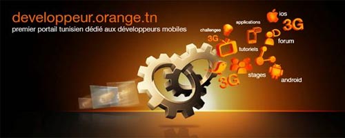 orange-080413-v.jpg