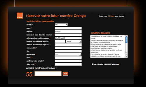 orange-240410-3.jpg