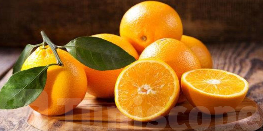 نابل: توقّعات بترويج 10 آلاف طن من البرتقال المالطي خلال هذا الموسم