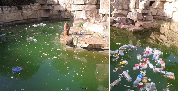 En photos : Le parc du Belvédère envahi par les ordures... !