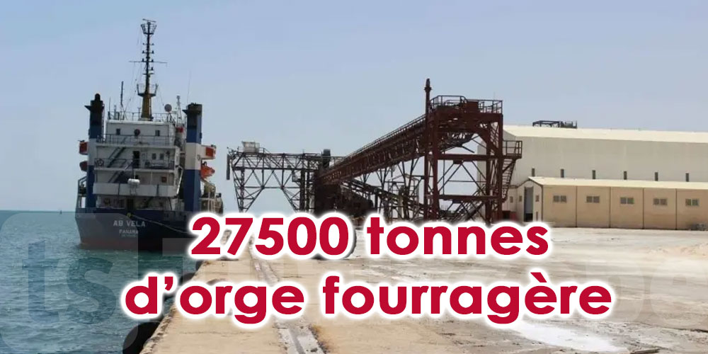 Port de Zarzis: Arrivée d’un navire chargé de 27500 tonnes d’orge fourragère 