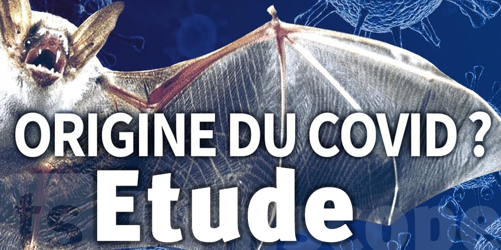 L'origine du covid-19 confirmée par deux nouvelles études