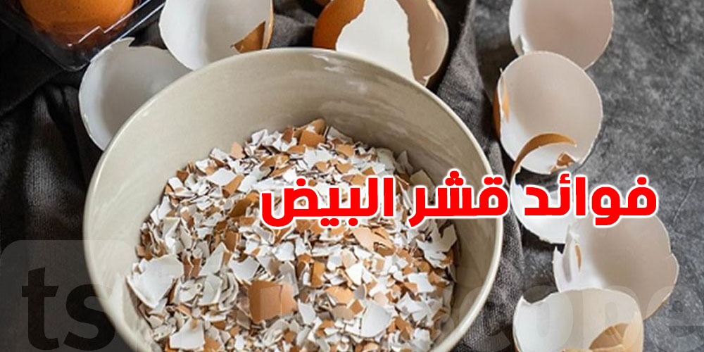 فيبالك بسر في قشور البيض.. وصفات سحرية تستنّا فيكم!
