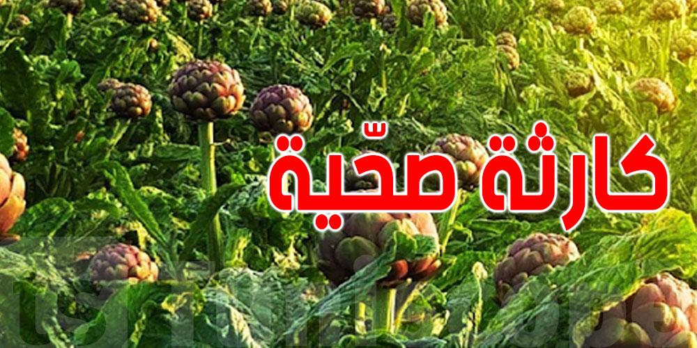 عاجل -فضيحة بيئية بأوتيك : ري مزروعات بالأوساخ ومصادرة محركات وقوارير غاز!