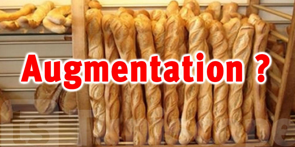 Tunisie : Vers une augmentation du prix de la baguette de pain ? le vrai du faux