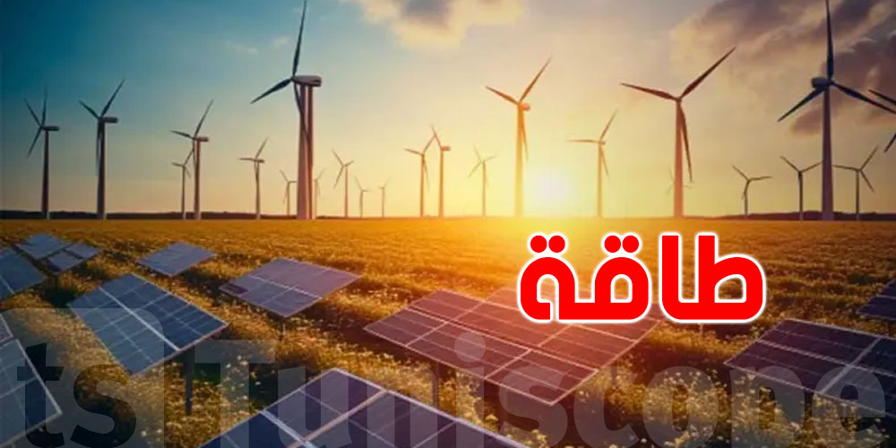 وزارة الصناعة : نحو توفير طاقة 100 بالمئة تونسية