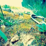 Kairouan: des habitants de Chébika empêchent la reprise des activités de l'usine de papier…