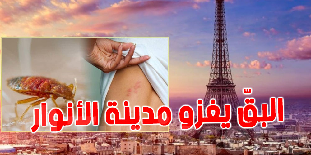 البق في فرنسا : دولة عربية تنطلق في أخذ الاحتياطات ...من هي ؟