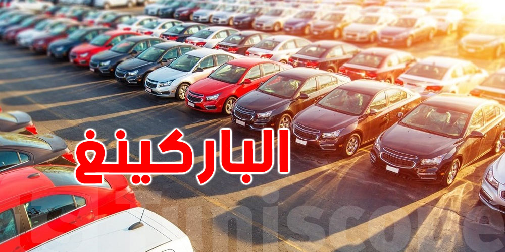 كيفية ركن السيارة في فصل الصيف: خطوات ضرورية لتفادي الأضرار