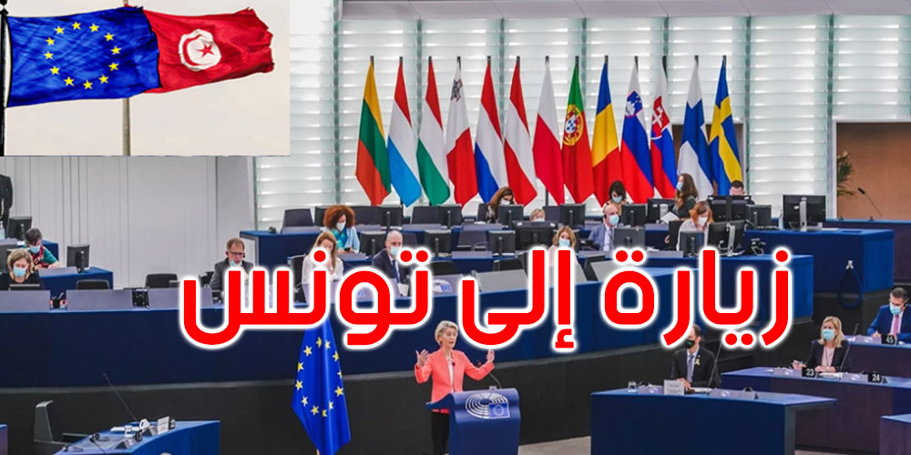  وفد من البرلمان الأوروبي يزور تونس