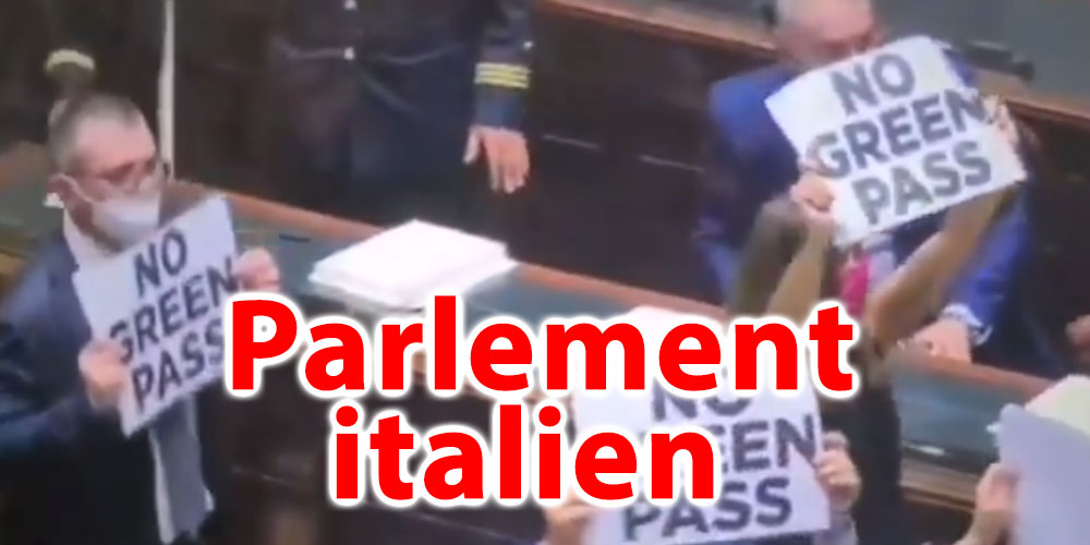 En vidéo: Pagaille au parlement italien à cause du pass sanitaire 