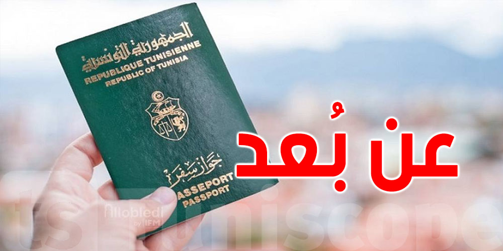 وزير الخارجية: نعمل على تعميم خدمة استخراج جواز السفر عن بُعد