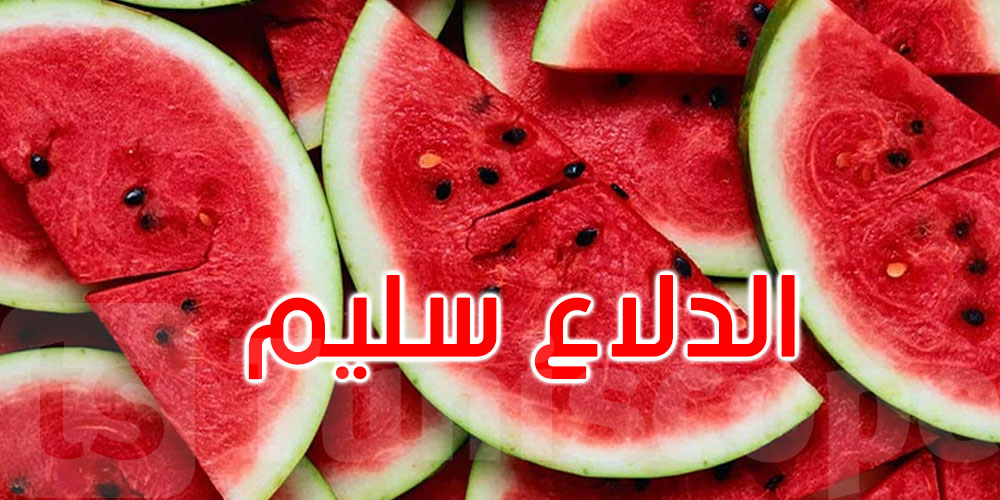نقابة الفلاحين تؤكد سلامة الدلاع وتدعو إلى الكف عن ضرب الإنتاج الوطني