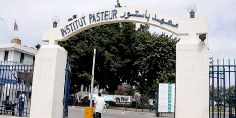Un mouvement de protestation demain à l’Institut Pasteur de Tunis 