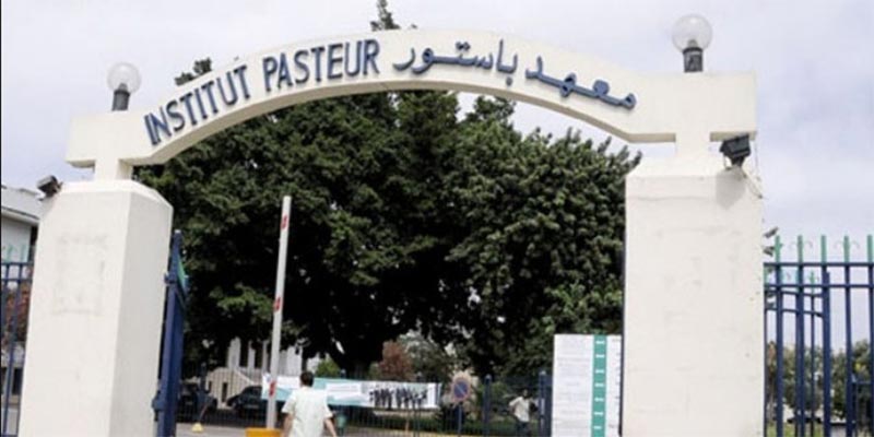 Diabète et Alzheimer : l’Institut Pasteur de Tunis étudie le rôle des facteurs génétiques