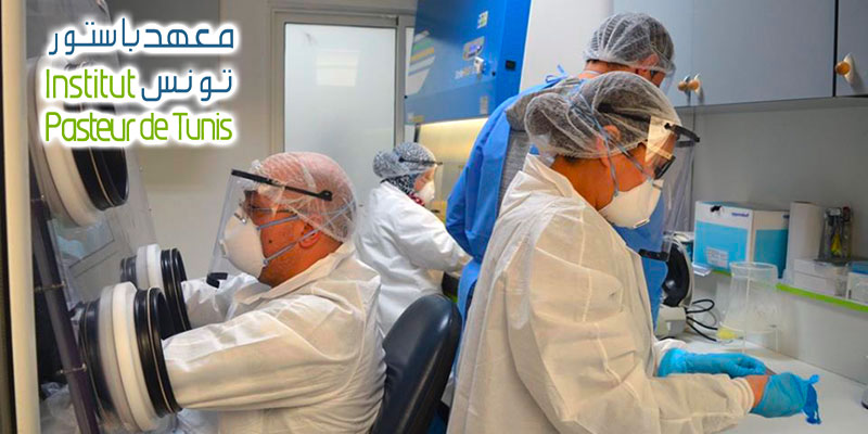 En photos : Coulisses des tests à COVID19 l'Institut Pasteur de Tunis