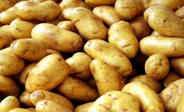 وزير التجارة: أسعار البطاطا ستتراجع في الأيام القادمة