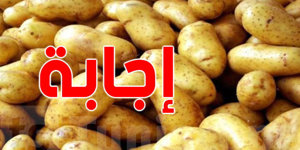 تونس : هل البطاطا المستوردة من مصر سليمة ؟ 