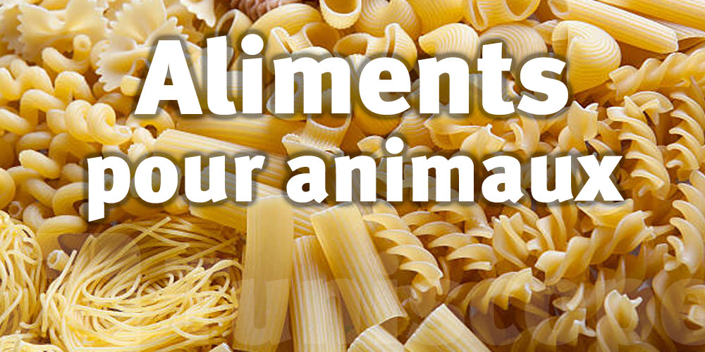 Une entreprise de fabrication de pâtes alimentaires transforme les pâtes en aliment pour animaux