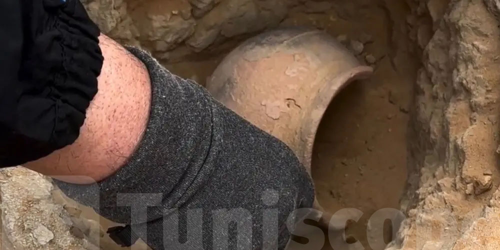 القصرين: اكتشاف أثري جديد في سبيبة