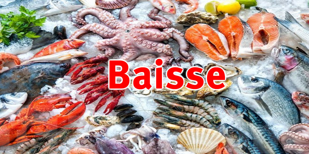 Baisse des exportations des produits de la pêche de 17.9%