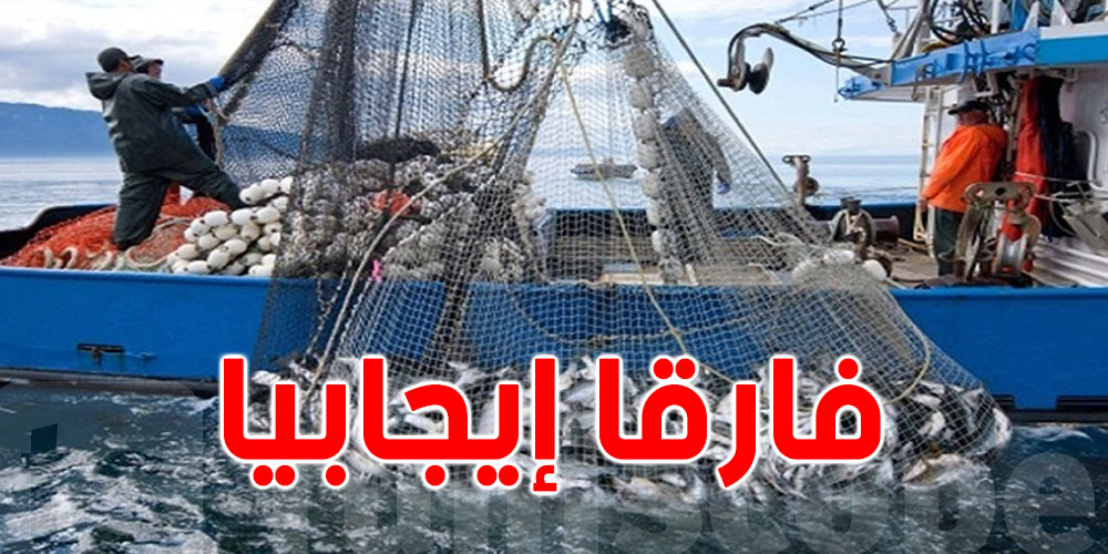 الصيد البحري : تونس تحقق فائضا في ميزان التجارة الخارجية 
