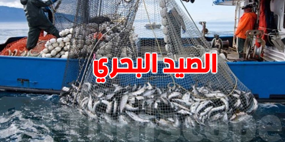  تعليق ممارسة نشاط الصيد البحري في أريانة وبنزرت الثلاثاء القادم 