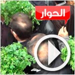 Vidéo et photos : Succès de la vente du persil devant El Hiwar