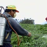 Syndrome de Parkinson et pesticides: Un lien étroit