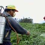 Syndrome de Parkinson et pesticides: Un lien étroit 