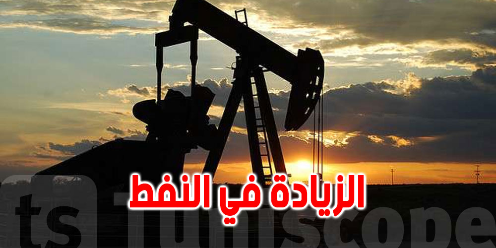 وزيرة الصناعة: الزيادة بدولار في النفط تساوي زيادة بـ137 مليار في نفقات الدعم