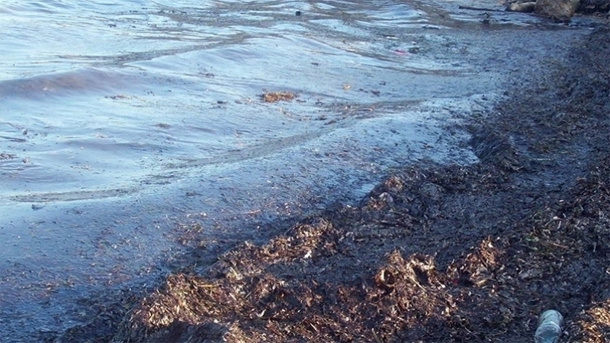 Encore une fuite de pétrole sur les plages de Kerkennah