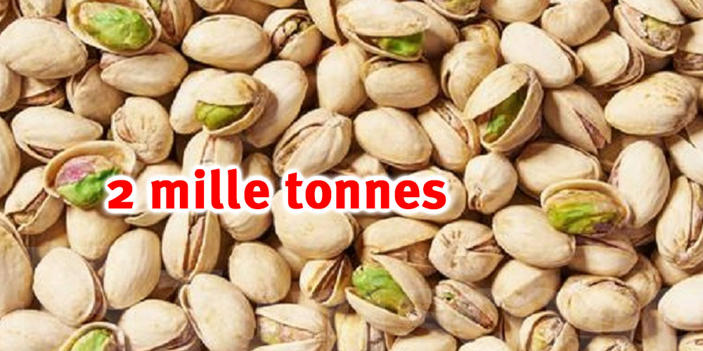 Gafsa : La production des pistaches estimée à 2 mille tonnes