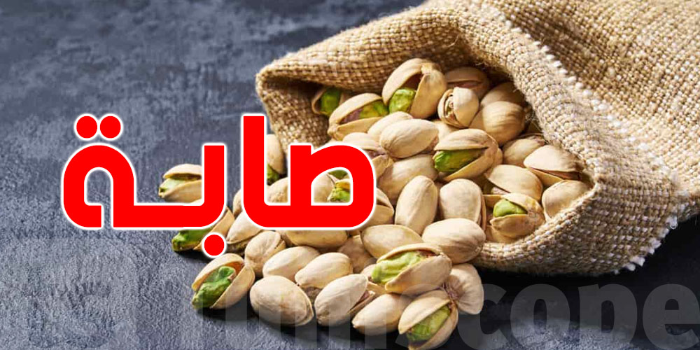 تونس: صابة قياسية في الفستق