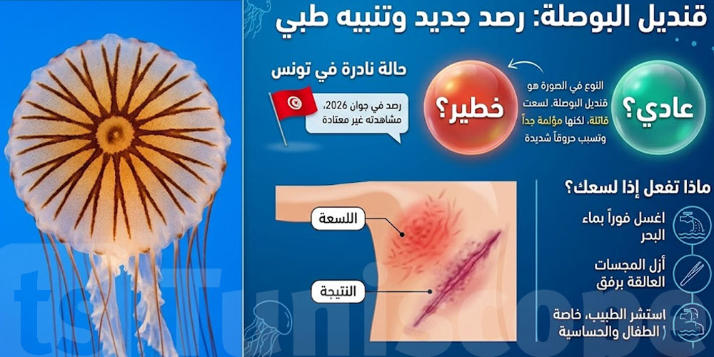 قنديل البوصلة في تونس: خطير والا عادي؟