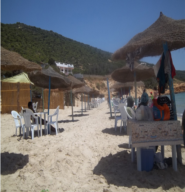 plage-5jpg.jpg