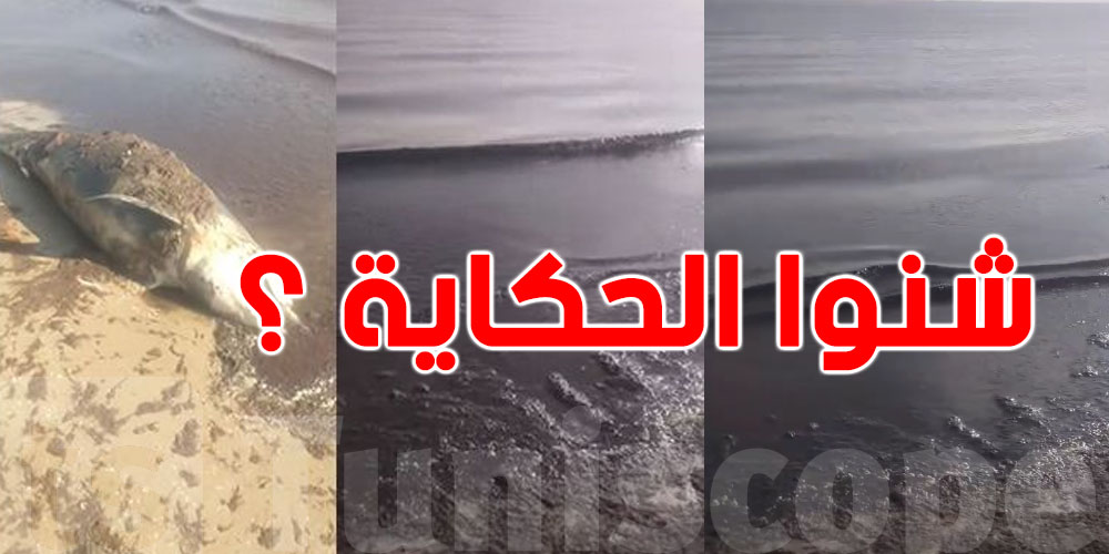 بحر بنّي'' شنوا صاير في بحر حمّام الأنف؟ ''