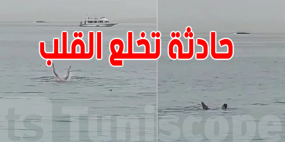 فيديو - في حادثة صادمة : قرش يلتهم سائح في ساحل البحرالأحمر في مصر
